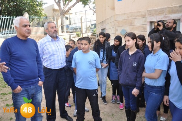 trees shamela 0321 (57).JPG